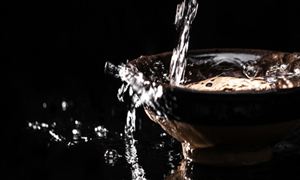 “后疫情”板塊火熱，看好白酒、醫(yī)療服務、出行等細分領域 白酒行業(yè)深度分析2023