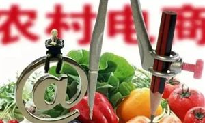 農村電商行業(yè)發(fā)展?jié)摿?農村電商投資現狀及發(fā)展趨勢