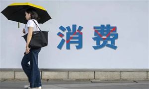 消費信貸行業(yè)行業(yè)深度分析及行業(yè)發(fā)展趨勢