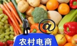 農(nóng)村電商消費(fèi)調(diào)查 農(nóng)村電商行業(yè)發(fā)展前景如何
