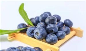 2022行業(yè)研究分析 水果種植行業(yè)需求分析
