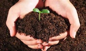 2022年全國肥料抽查合格率為87.6% 微生物肥料行業(yè)市場(chǎng)分析
