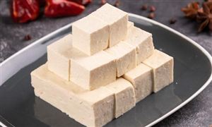 豆制品行業(yè)市場深度調(diào)研與投資前景分析2023