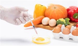 食品安全行業(yè)調(diào)研 2023全球及中國(guó)食品安全行業(yè)發(fā)展現(xiàn)狀分析
