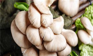2023健康食品行業(yè)發(fā)展趨勢及市場現(xiàn)狀分析