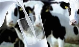 2023年我國乳制品行業(yè)市場將破5000億元 乳業(yè)未來市場走向分析