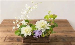 花卉藝術行業(yè)市場前景如何 花卉藝術行業(yè)發(fā)展分析