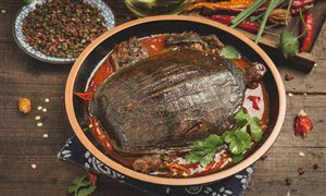 甲魚養(yǎng)殖行業(yè)全景分析 甲魚養(yǎng)殖行業(yè)投資前景預測