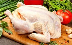 肉雞苗市場呈現(xiàn)供不應求的狀態(tài) 2023國內肉雞養(yǎng)殖市場需求格局