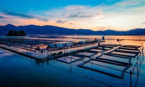 中國(guó)海洋漁業(yè)市場(chǎng)運(yùn)行現(xiàn)狀深度分析2023