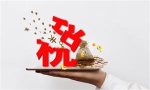 2023稅務(wù)大數(shù)據(jù)行業(yè)市場分析調(diào)研