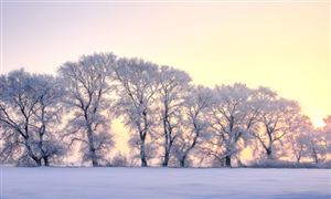 融雪劑行業(yè)市場(chǎng)需求趨勢(shì) 融雪劑行業(yè)未來(lái)發(fā)展方向