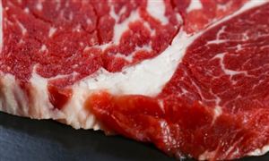 牛肉進口市場分析 牛肉行業(yè)市場發(fā)展現(xiàn)狀投資分析2023