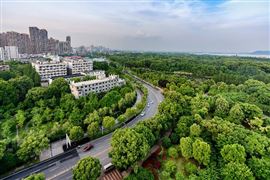 2023環(huán)保活性炭市場(chǎng)需求與應(yīng)用前景