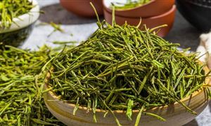 中國茶葉產(chǎn)業(yè)鏈發(fā)展現(xiàn)狀 茶葉行業(yè)進出口狀況分析