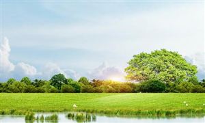 文旅新業(yè)態(tài)加速數(shù)字文旅布局 2023年中國數(shù)字文旅行業(yè)發(fā)展前景