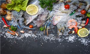 2023海洋功能性食品行業(yè)現(xiàn)狀與市場(chǎng)發(fā)展前景趨勢(shì)分析
