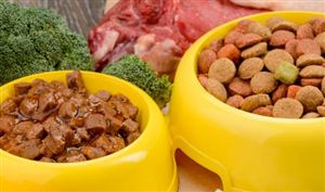 2023年寵物食品的新品類趨勢洞察 寵物食品行業(yè)深度分析2023