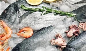 冷凍食品行業(yè)發(fā)展趨勢(shì) 冷凍食品行業(yè)發(fā)展現(xiàn)狀及前景分析