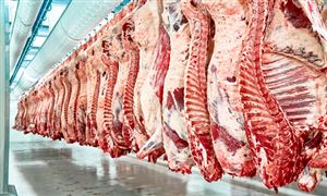 肉類加工行業(yè)發(fā)展趨勢及肉類加工行業(yè)市場現(xiàn)狀分析