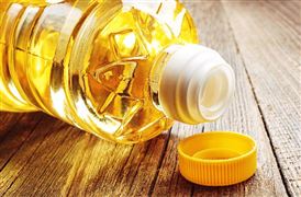 全球生物能源消費(fèi)量占比 2023我國生物質(zhì)能發(fā)電裝機(jī)容量