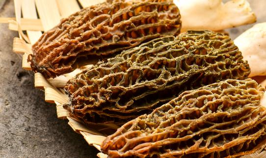 2023年羊肚菌種植產(chǎn)業(yè)發(fā)展現(xiàn)狀