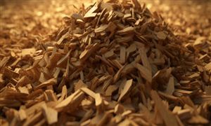 高分子材料行業(yè)市場(chǎng)多大?高分子材料行業(yè)發(fā)展前景及趨勢(shì)分析2023