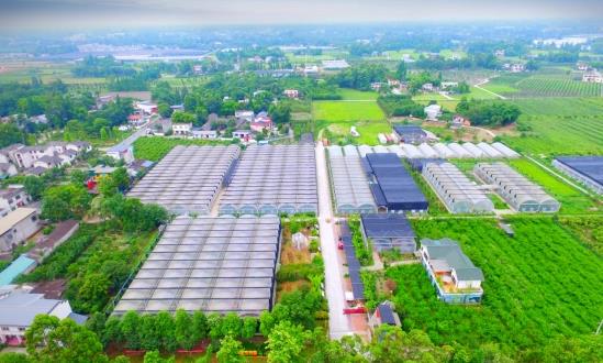 2023現(xiàn)代農(nóng)業(yè)園區(qū)行業(yè)市場前瞻及投資分析