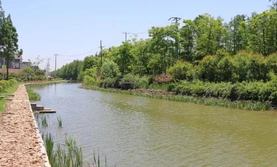 河道整治市場全景調(diào)研及投資分析