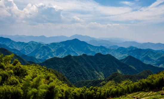 2023中國(guó)森林旅游行業(yè)發(fā)展分析
