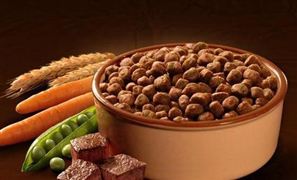 2023寵物食品行業(yè)發(fā)展現(xiàn)狀前景分析