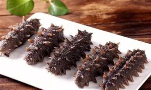 海參行業(yè)發(fā)展現狀前景及投資分析