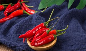 小辣椒大產(chǎn)業(yè) 辣椒行業(yè)市場深度分析2023