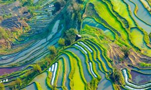 農(nóng)業(yè)旅游產(chǎn)業(yè)深度調(diào)研及現(xiàn)狀分析2023