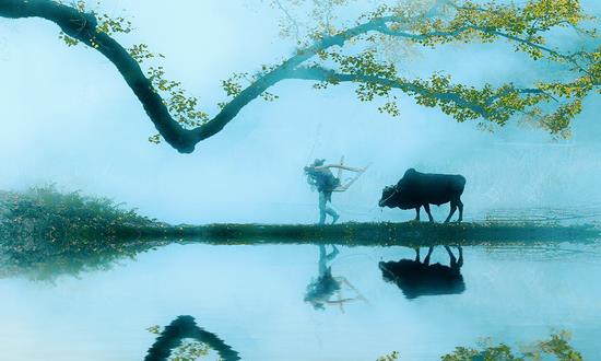 中國(guó)美麗鄉(xiāng)村建設(shè)投資現(xiàn)狀 中國(guó)美麗鄉(xiāng)村建設(shè)發(fā)展前景預(yù)測(cè)