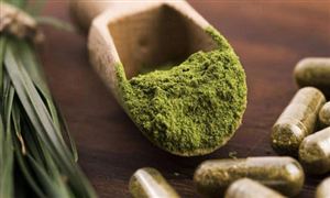 螺旋藻 目前在微藻類中市場占有率約為70% 螺旋藻行業(yè)發(fā)展現(xiàn)狀分析