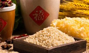 農(nóng)產(chǎn)品加工市場現(xiàn)狀及發(fā)展趨勢分析2023