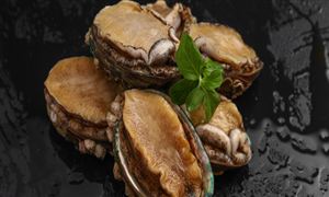 鮑魚消費量及鮑魚養(yǎng)殖行業(yè)現(xiàn)狀2023