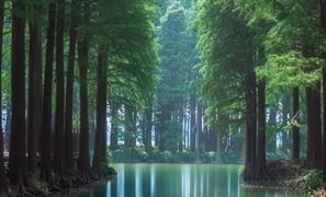 中國(guó)濕地開(kāi)發(fā)行業(yè)發(fā)展前景及投資風(fēng)險(xiǎn)預(yù)測(cè)分析2023