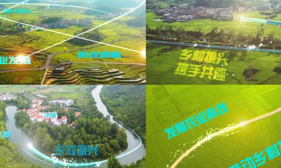 鄉(xiāng)村振興戰(zhàn)略發(fā)展現(xiàn)狀及市場投資分析