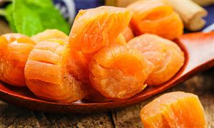 2023年瑤柱行業(yè)市場(chǎng)需求及行業(yè)發(fā)展前景預(yù)測(cè)分析