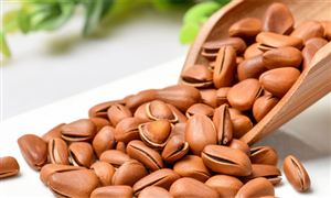 松子行業(yè)分析：產(chǎn)需存在較大缺口 市場前景較好