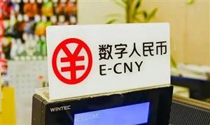 推動(dòng)數(shù)字人民幣跨境使用 引領(lǐng)數(shù)字文化產(chǎn)業(yè)發(fā)展的產(chǎn)業(yè)集群