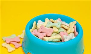 寵物食品產(chǎn)業(yè)迎來(lái)發(fā)展風(fēng)口 2023寵物食品市場(chǎng)現(xiàn)狀分析