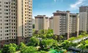 碧桂園上半年預(yù)虧450至550億 碧桂園已籌備債務(wù)重整 房企投資融資現(xiàn)狀