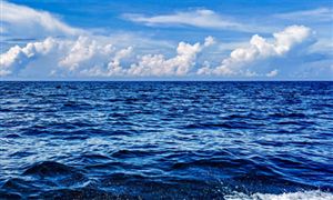 上半年海洋生態(tài)修復(fù)穩(wěn)步推進(jìn) 海洋生態(tài)行業(yè)市場深度分析