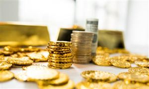 2023期貨行業(yè)分析 累計投入鄉(xiāng)村振興幫扶資金達(dá)23.41億元