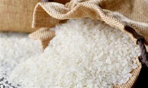 中國甜味劑行業(yè)深度調(diào)研與發(fā)展趨勢預(yù)測研究