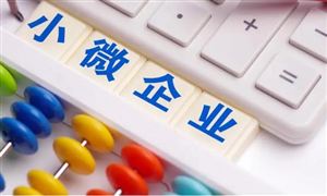共同推動中小微企業(yè)在數(shù)字時(shí)代創(chuàng)新發(fā)展 2023小微金融行業(yè)市場前瞻與未來投資