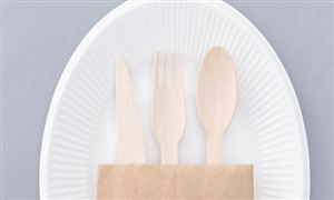 餐具市場現(xiàn)狀分析及行業(yè)深度發(fā)展研究：超3.6億用戶選擇“無需餐具” 美團“青山計劃”取得綠色低碳新進展